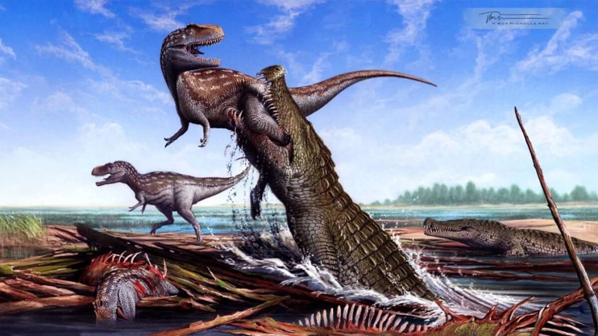 Deinosuchus schwimmeri