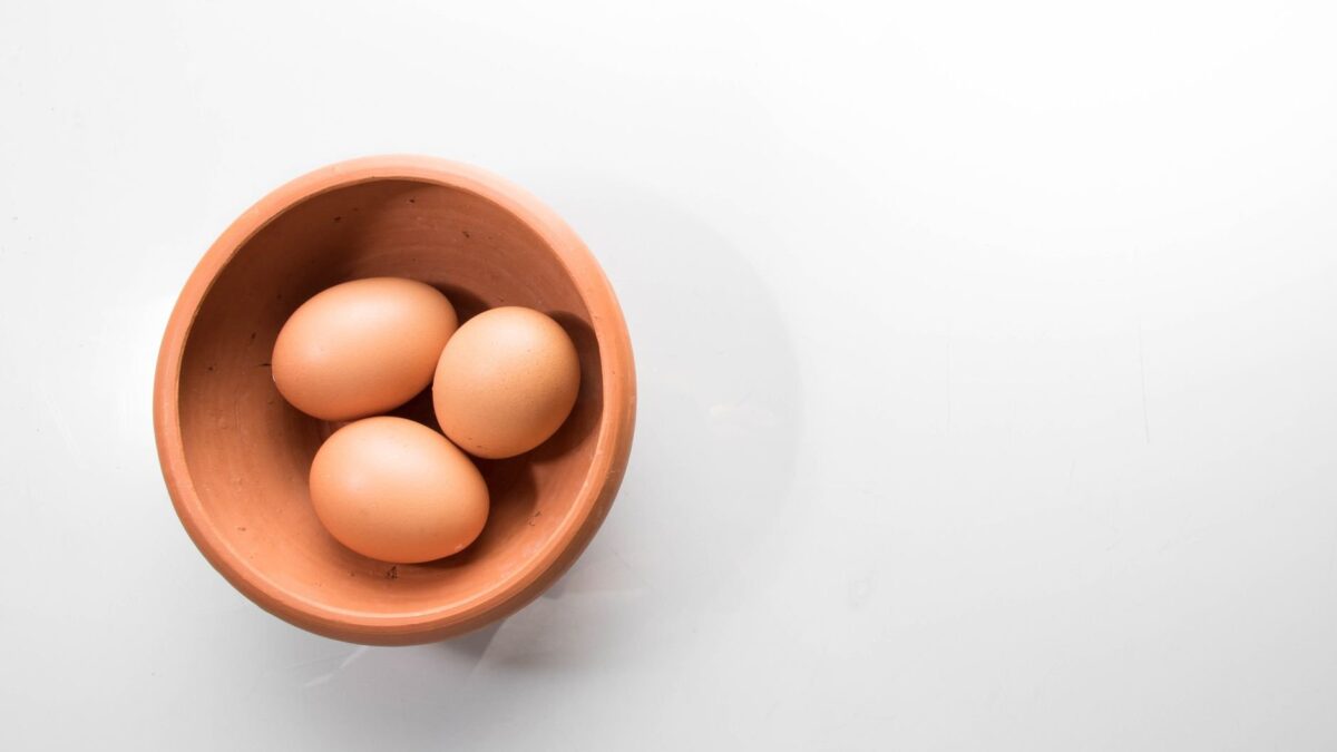 Cor da casca de ovo: casca de ovo de galinha poedeira marrom mostrando variação na cor devido a fatores como estresse e dieta.