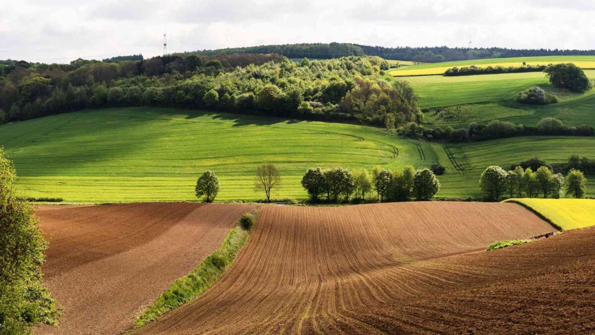 Imagem aérea de paisagem rural mostrando divisão entre pastagem e lavoura, simbolizando a reestruturação da agricultura global com menos pecuária e mais cultivos vegetais.