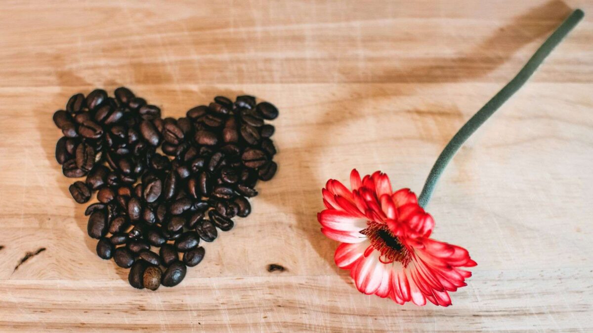 Grãos de café ajustados de forma a representar um coração para simbolizar a relação entre café e efeito cardiovascular.