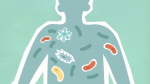 Bactéria intestinal e Alzheimer: ilustração da conexão entre micróbios do intestino e o cérebro